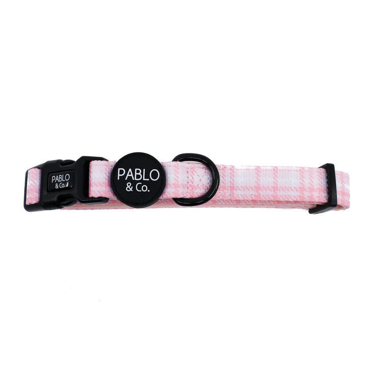 Pablo and Co Dog Collar