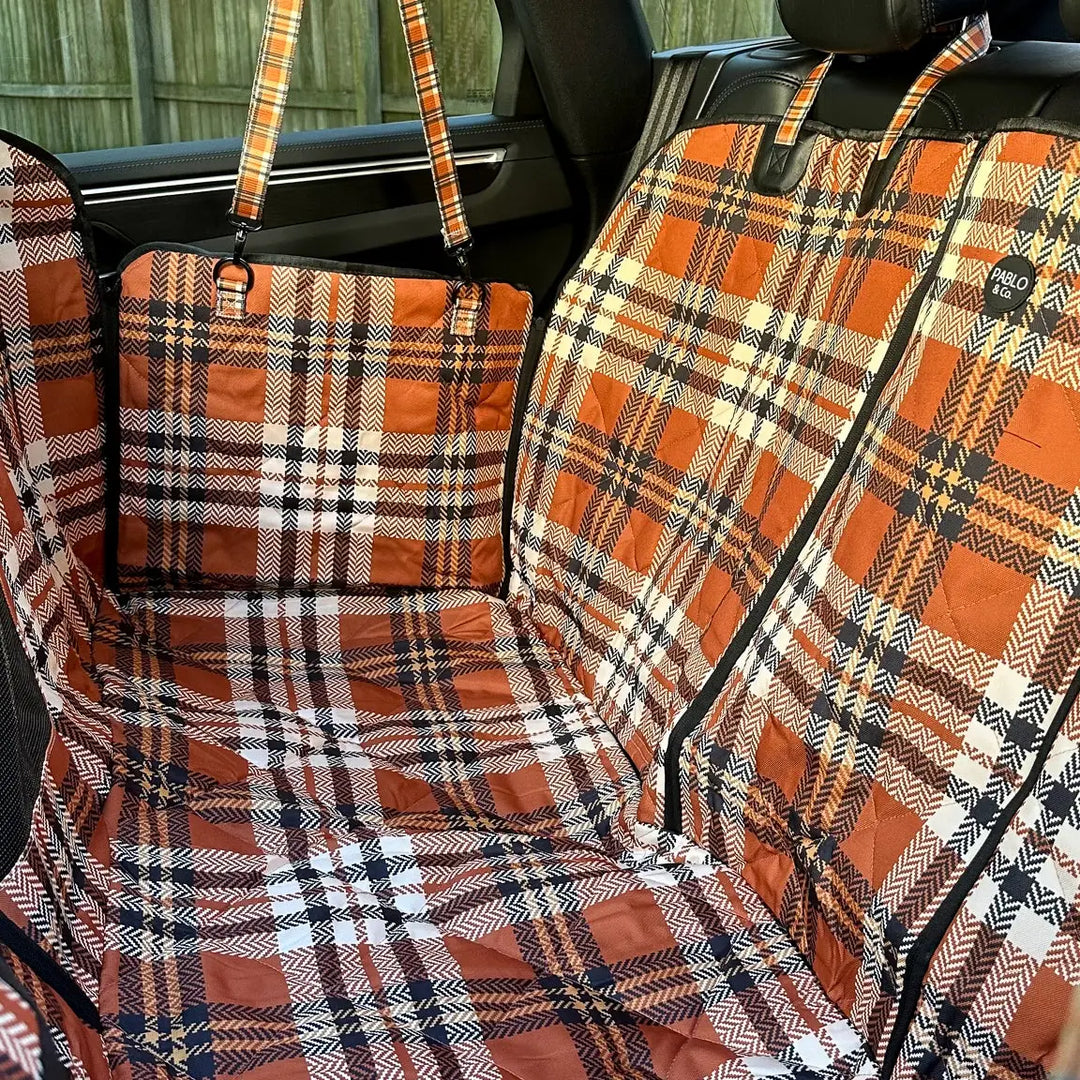 Pablo and Co Car Seat Cover