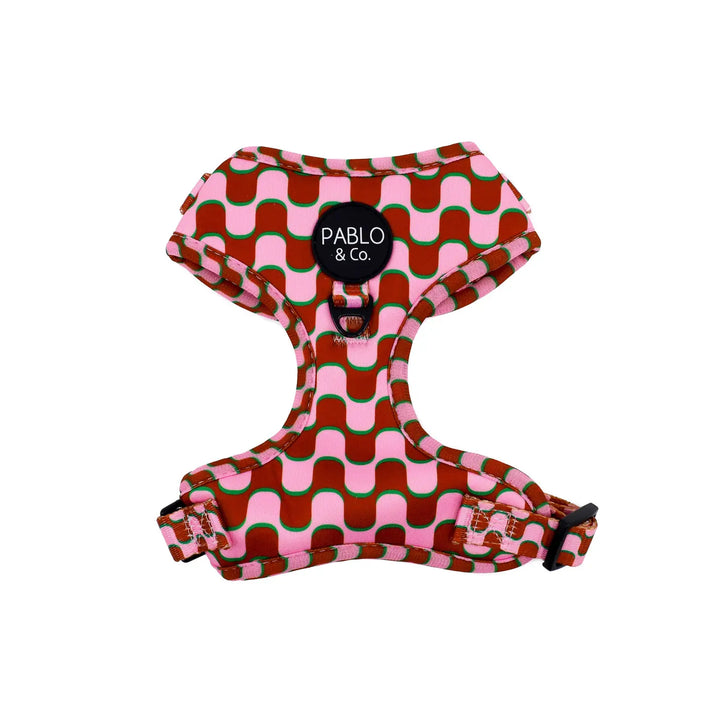 Pablo and Co Dog Harness