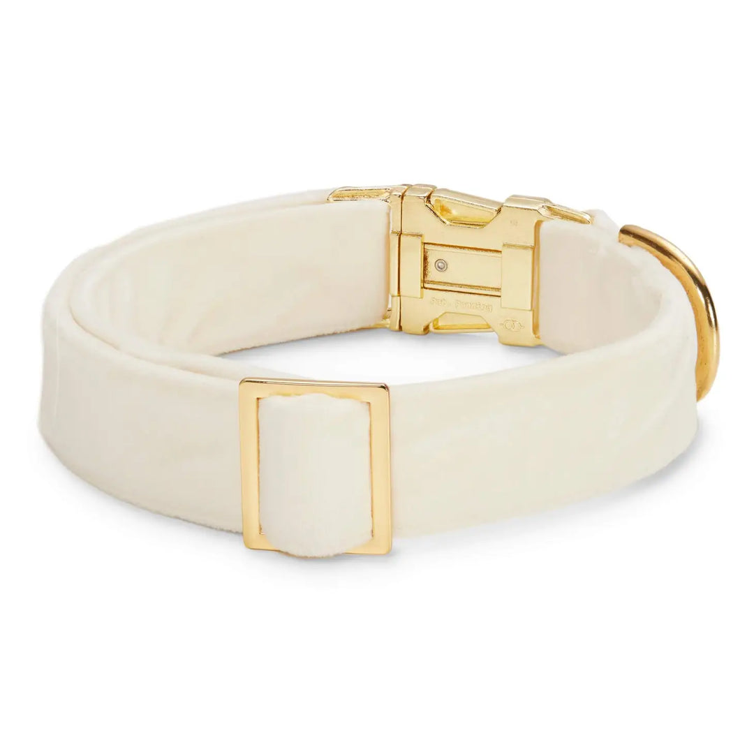 The Foggy Dog Ivory Velvet Dog Collar