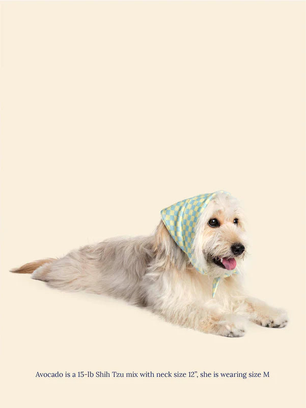 Little Beast Calm and Collected Bandana