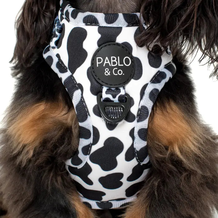 Pablo and Co Dog Harness