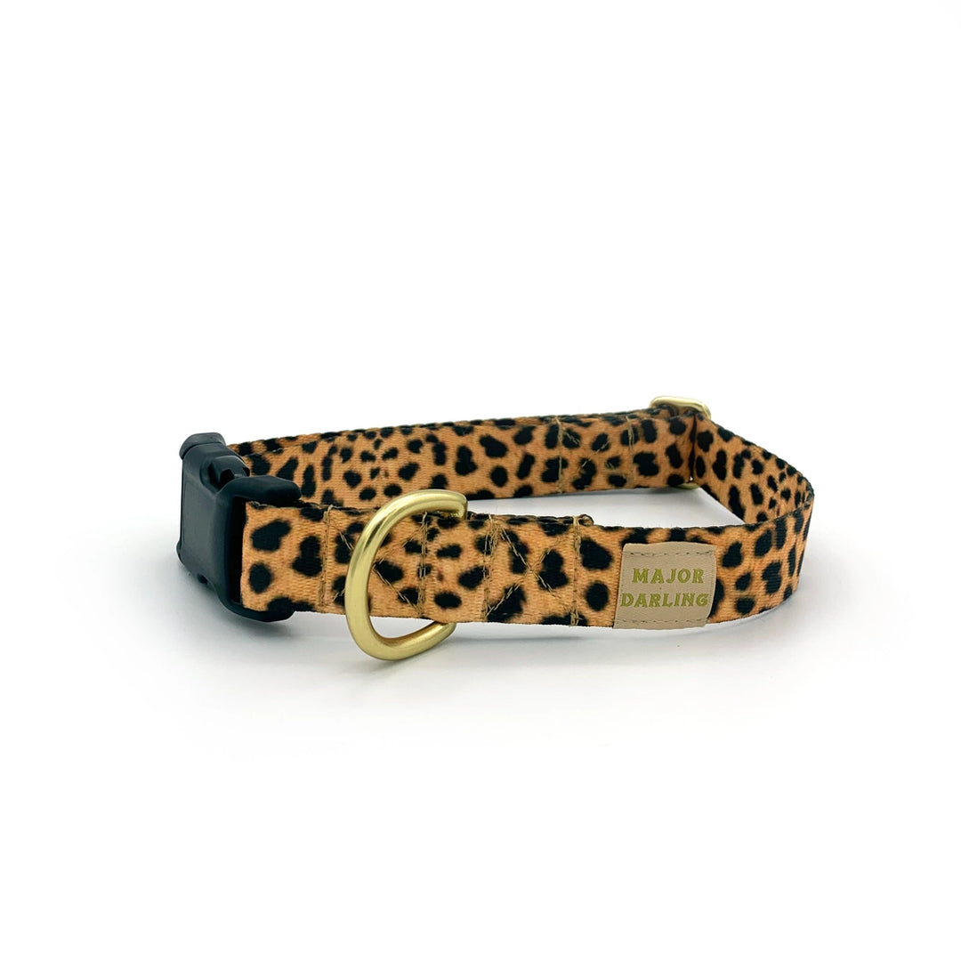 Major Darling Leopard Print Side-Release Buckle Collar