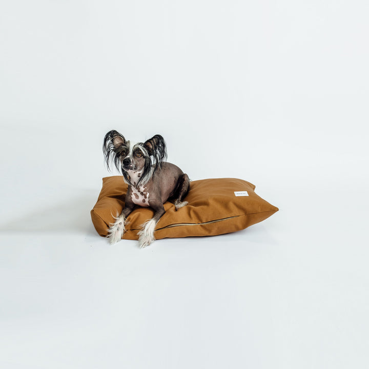 The Working Dog Co Scooter Bed