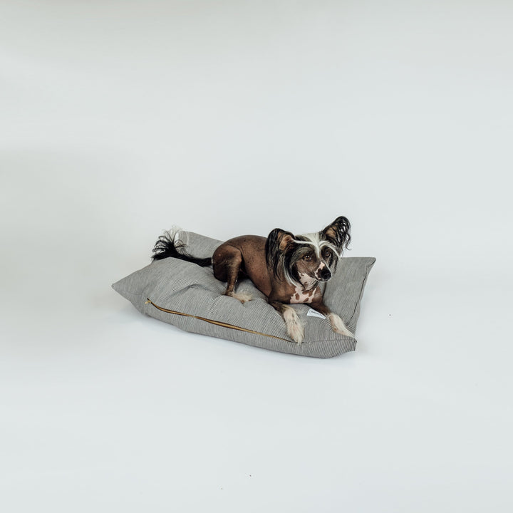 The Working Dog Co Scooter Bed