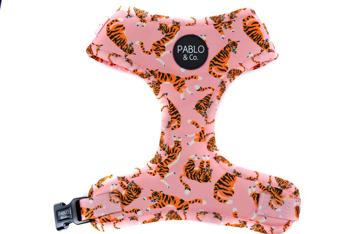 Pablo and Co Dog Harness