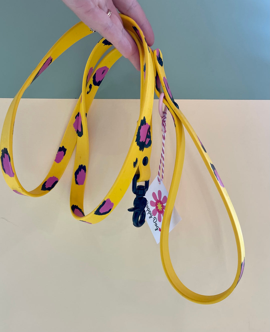 Poppy Dog Hand Painted Biothane Leash