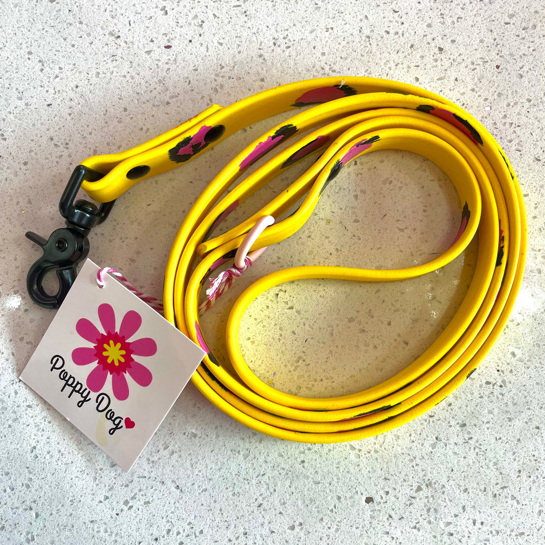 Poppy Dog Hand Painted Biothane Leash