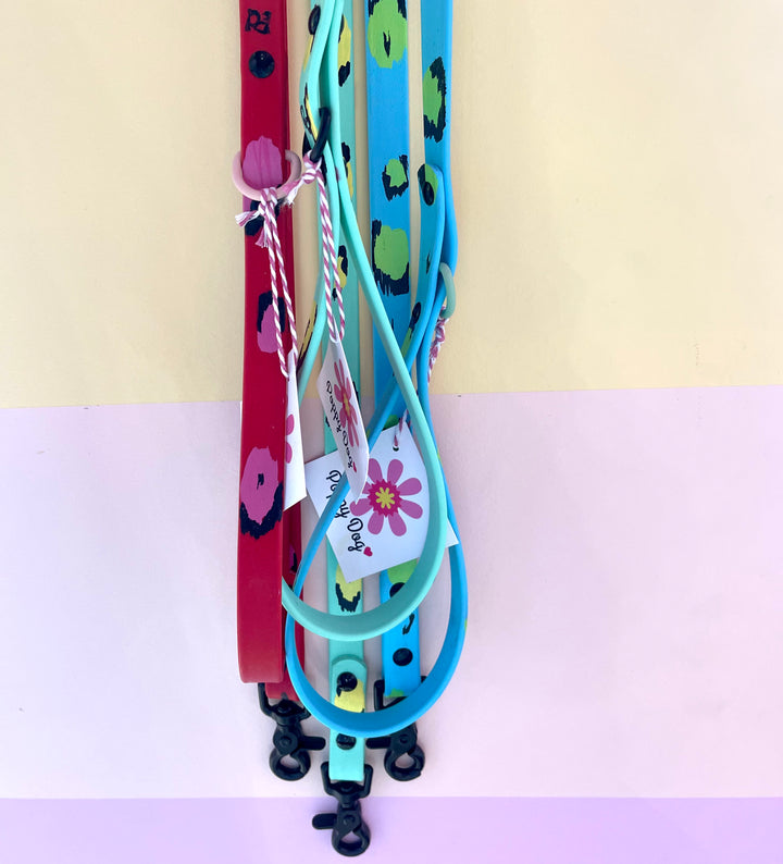 Poppy Dog Hand Painted Biothane Leash