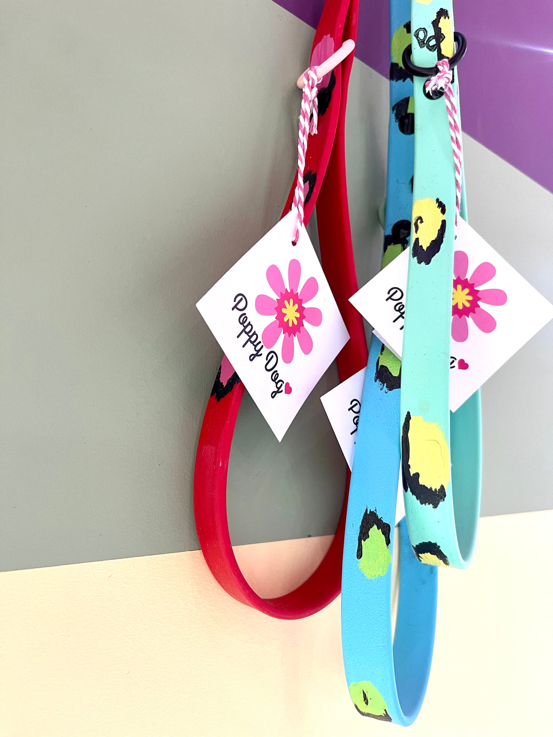 Poppy Dog Hand Painted Biothane Leash