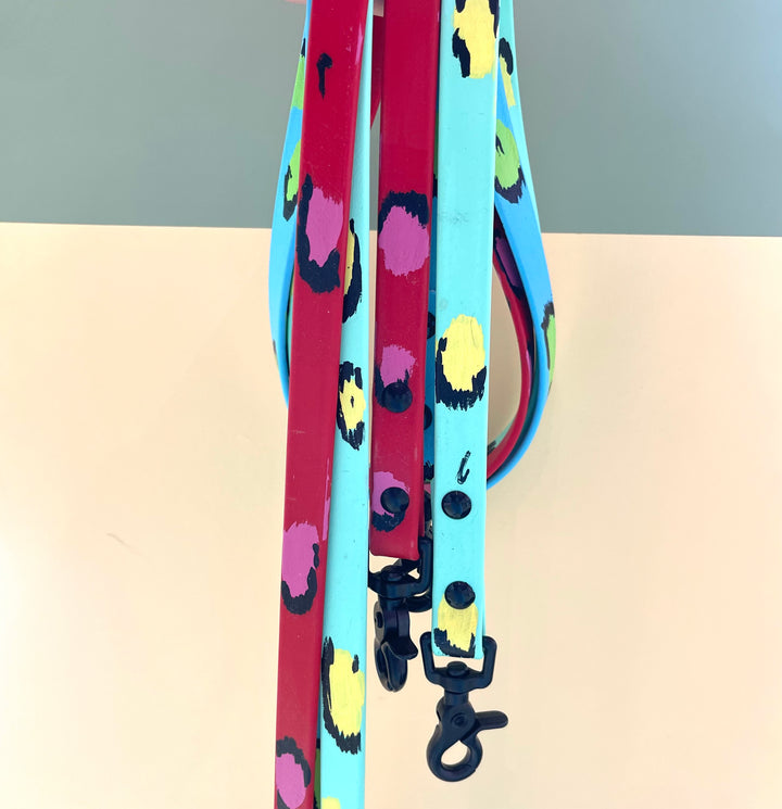 Poppy Dog Hand Painted Biothane Leash