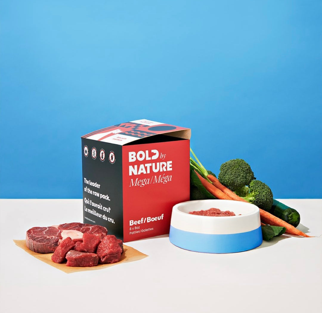 Bold by Nature Dog Mega Beef Patties