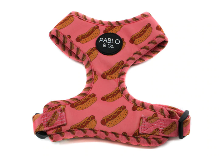 Pablo and Co Dog Harness