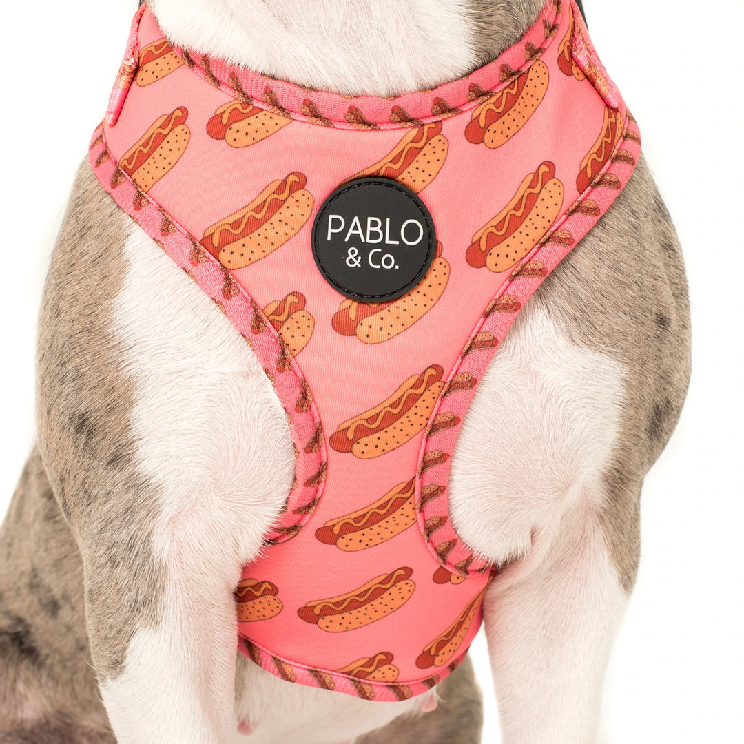 Pablo and Co Dog Harness