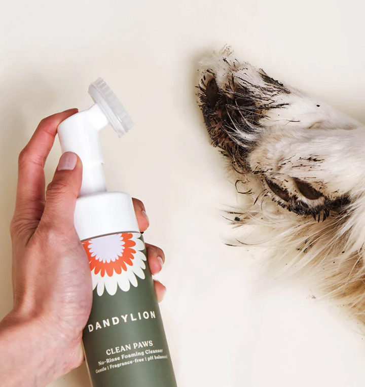 Dandylion Clean Paws No-Rinse Foaming Cleanser
