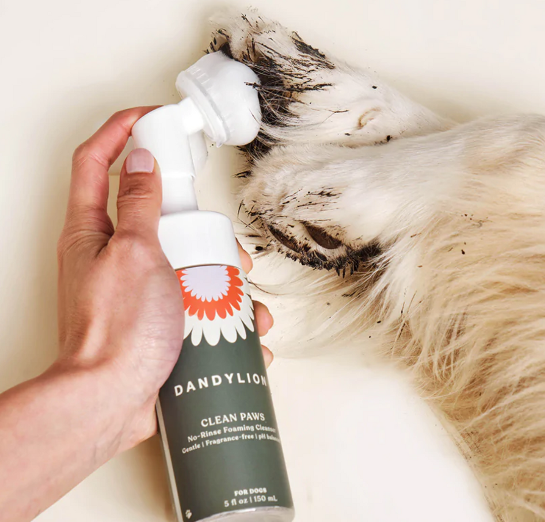 Dandylion Clean Paws No-Rinse Foaming Cleanser