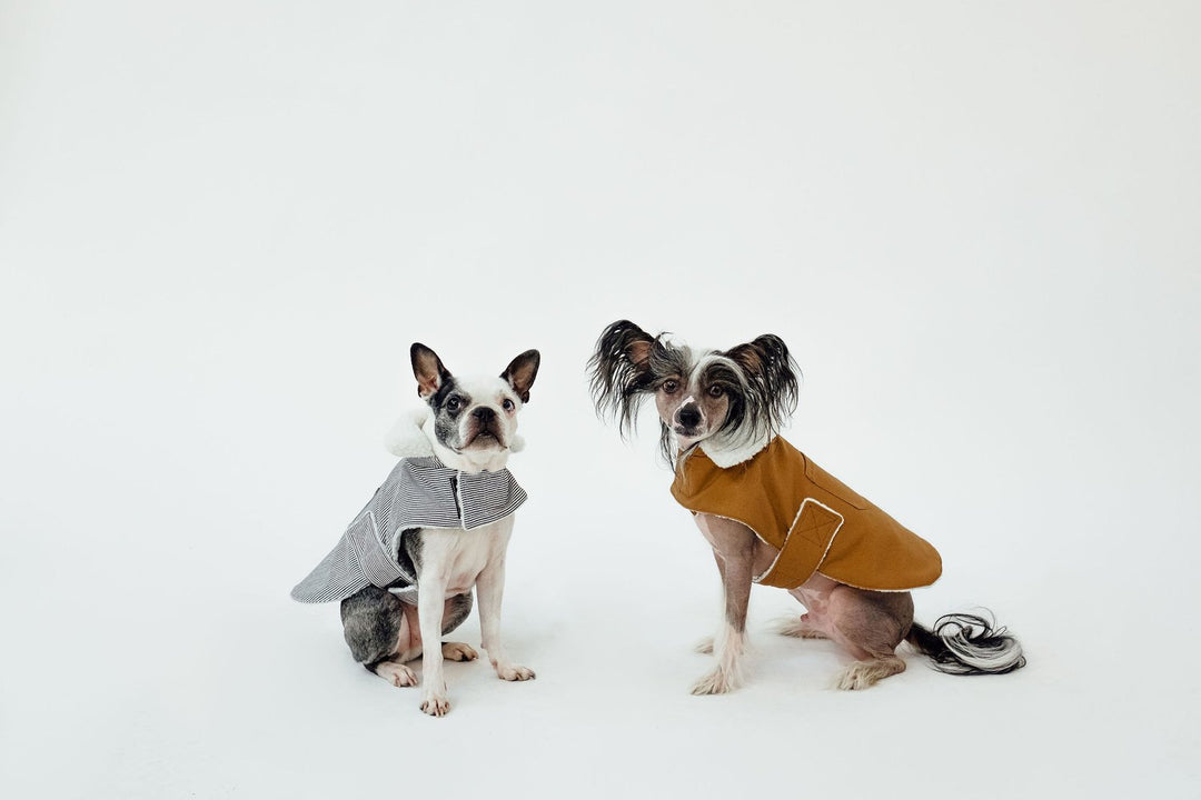 The Working Dog Co Fleece-Lined Jacket