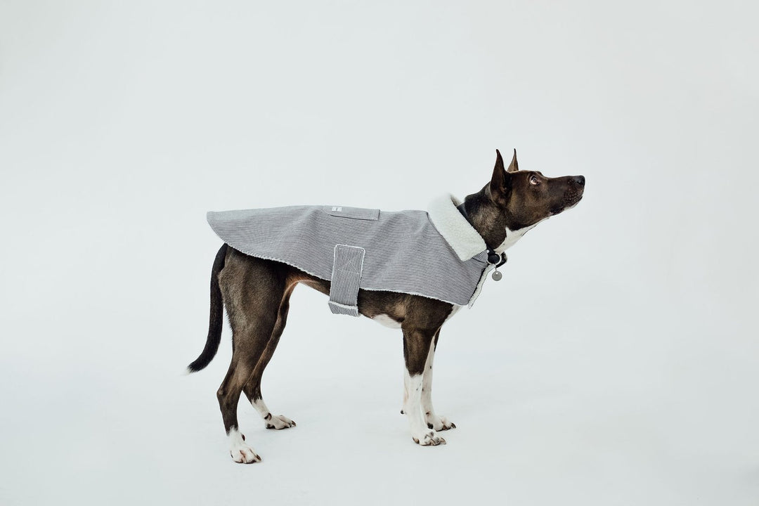 The Working Dog Co Fleece-Lined Jacket