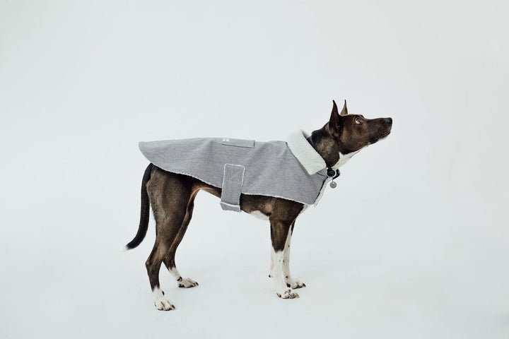 The Working Dog Co Fleece-Lined Jacket