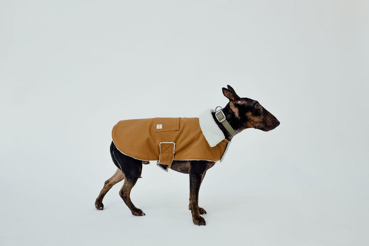 The Working Dog Co Fleece-Lined Jacket