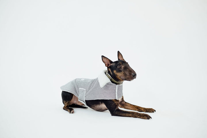 The Working Dog Co Fleece-Lined Jacket