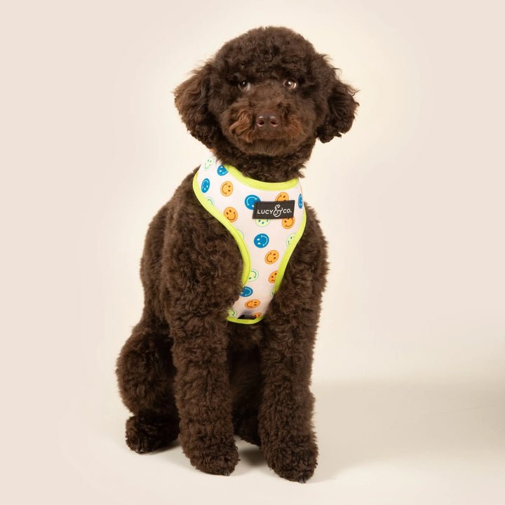 Lucy & Co The Have a Nice Day Reversible Harness
